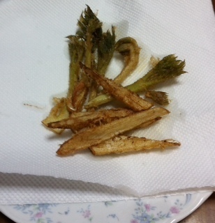 2015031503.JPG