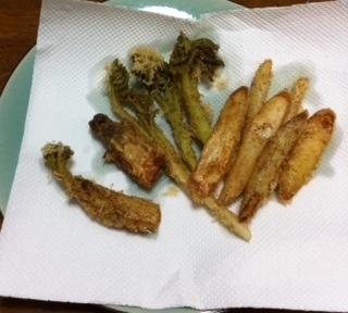 2015032206.JPG