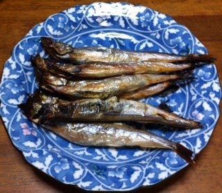 2015032405.JPG