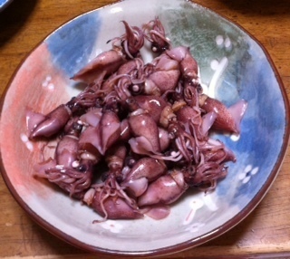 2015040507.JPG