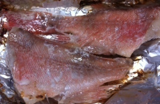 2015043003.JPG