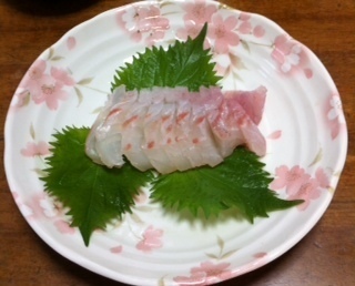 2015050304.JPG