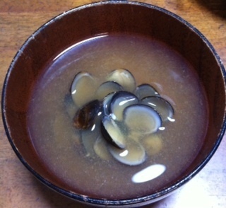 2015051805.JPG