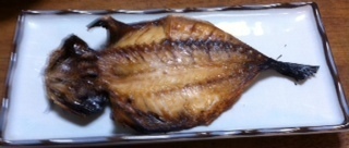 2015052504.JPG