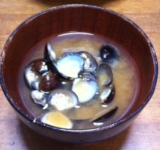 2015052505.JPG