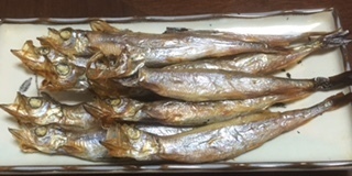 2016011104.jpg