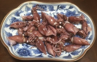 2016022004.jpg
