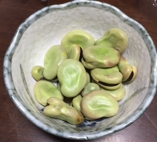206060103.jpg